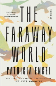 Order a copy of The Faraway World