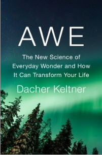 Order a copy of Awe
