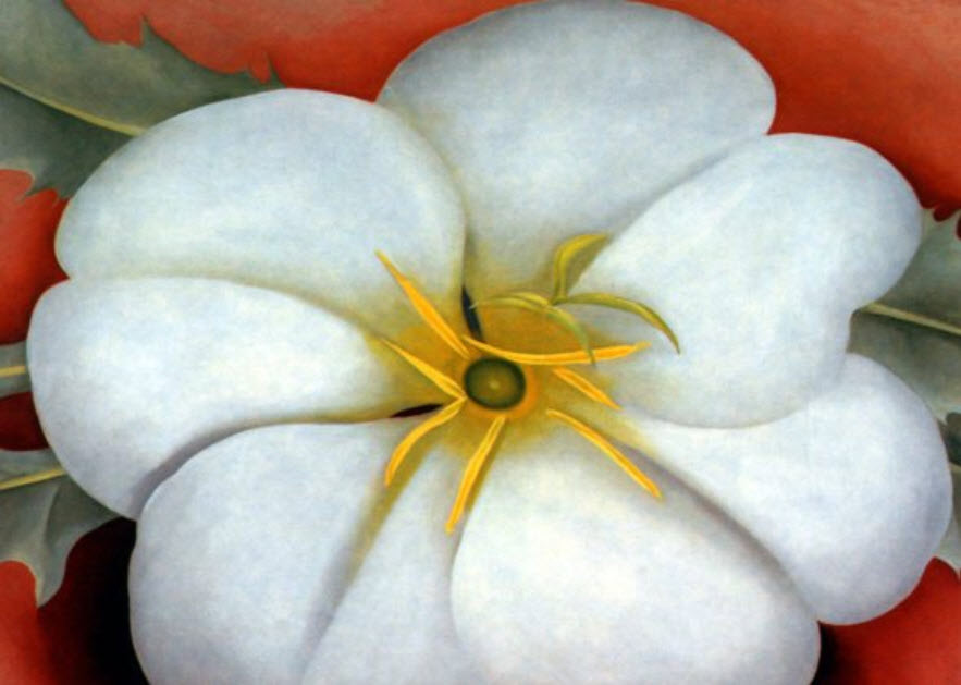 White Flower on Red Earth, No. 1 by Georgia O'Keeffe